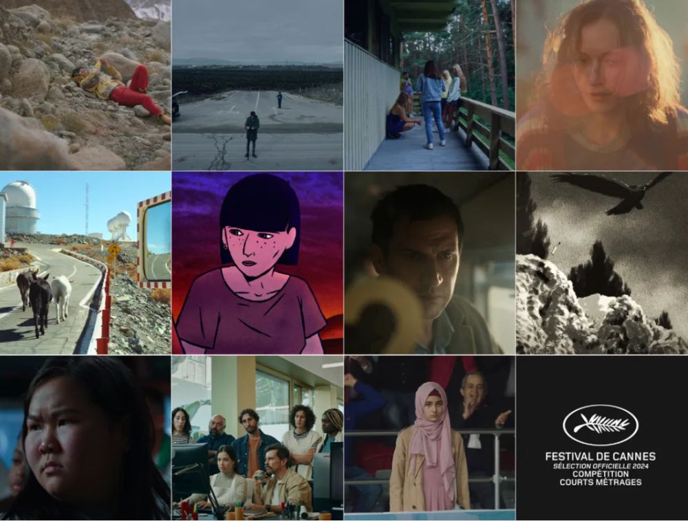 Lire la suite à propos de l’article Courts métrages de la sélection officielle en compétition