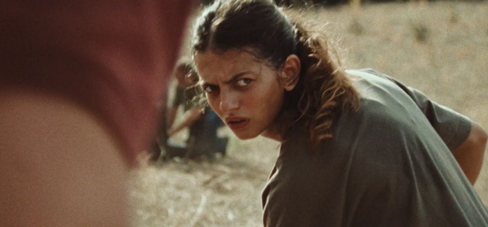 Lire la suite à propos de l’article Le Royaume de Julien Colonna