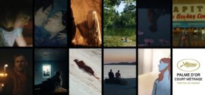 Lire la suite à propos de l’article Sélection Officielle des Courts-Métrages en Compétition