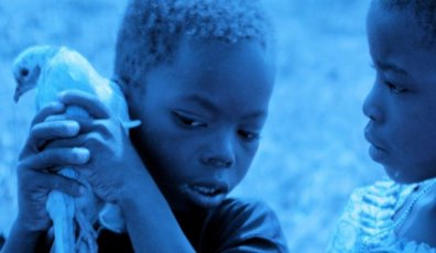 Mercredi 18 mai 2011: les films