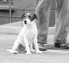 Premier bilan du Festival de Cannes 2011