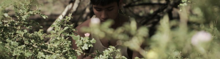 Mes films � #Cannes, vendredi 18 mai 2012