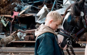 Mes films à #Cannes2013, vendredi 17 mai