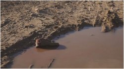 Dimanche 15 mai #Cannes2016, les films