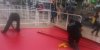 Mardi 17 mai #Cannes 2016, tapis rouge